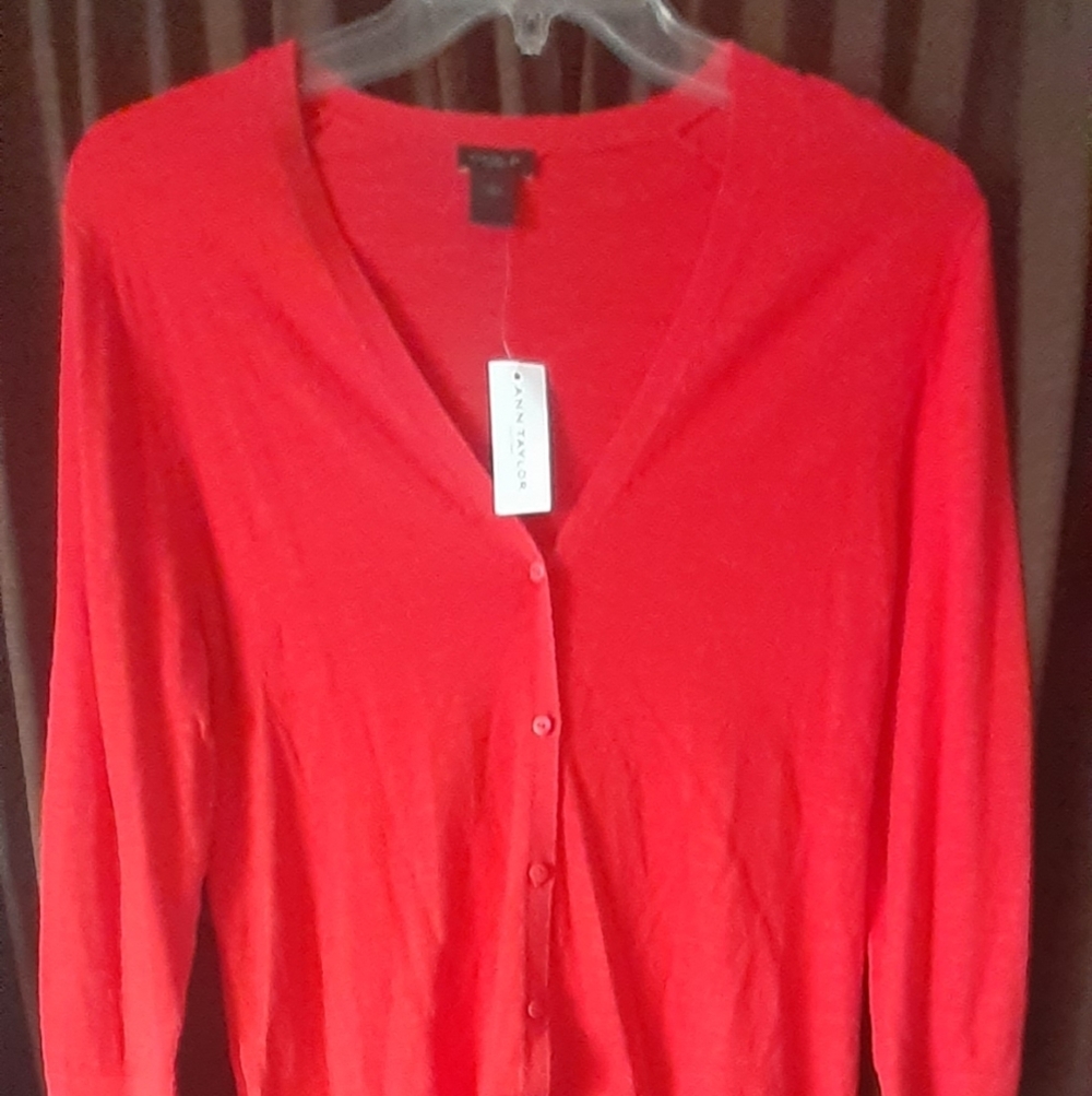Ann Taylor